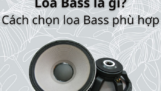 Loa Bass là gì và cách chọn loa Bass phù hợp với nhu cầu sử dụng