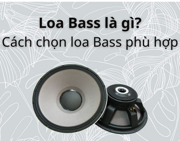 Loa Bass